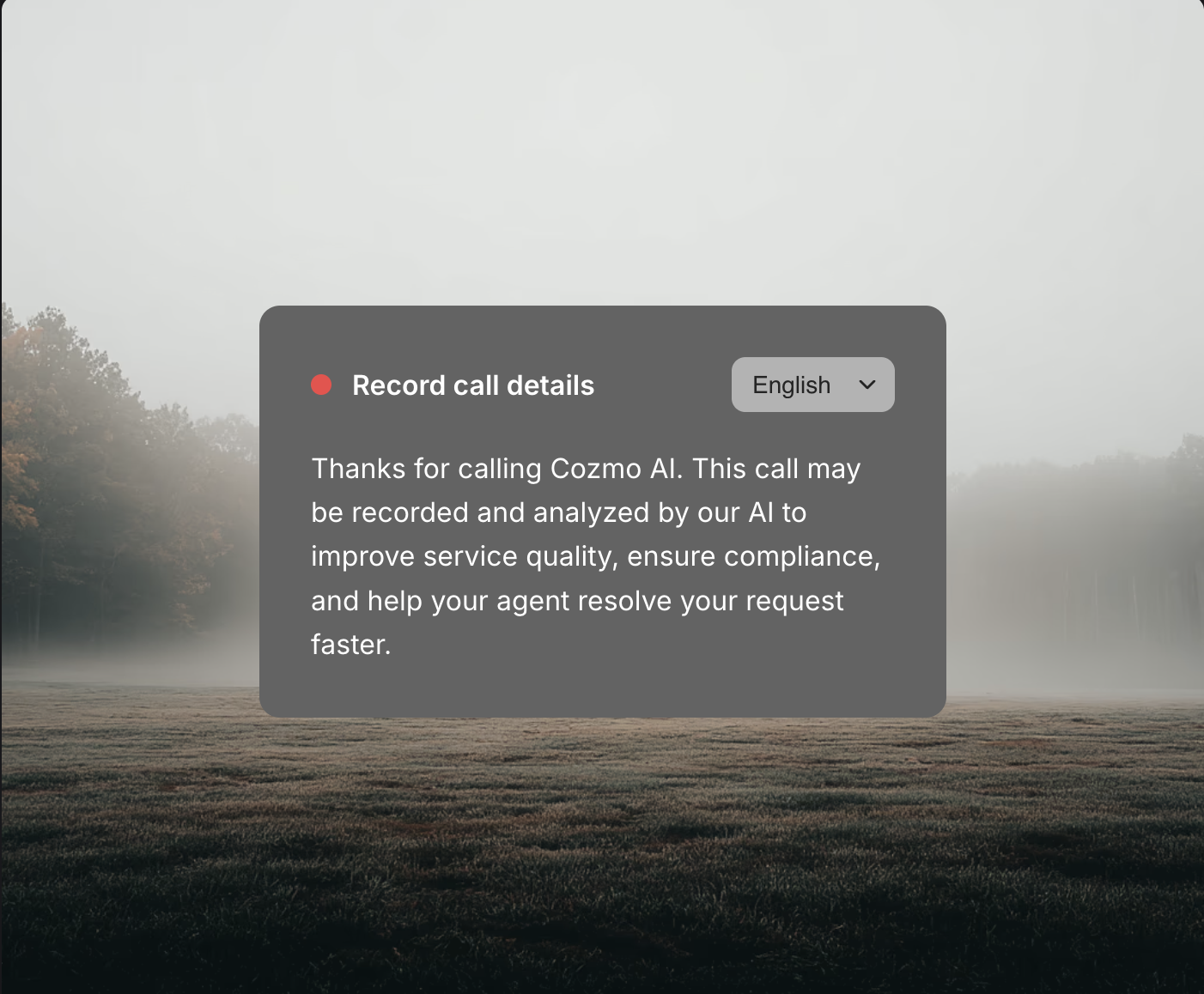 Call intelligence record-call-details overlay on misty field